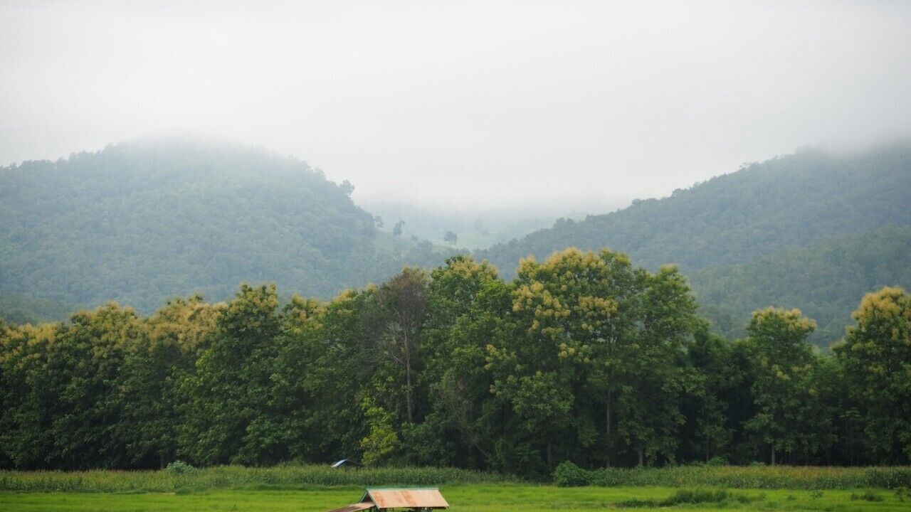 Photo of Outdoor in Old City