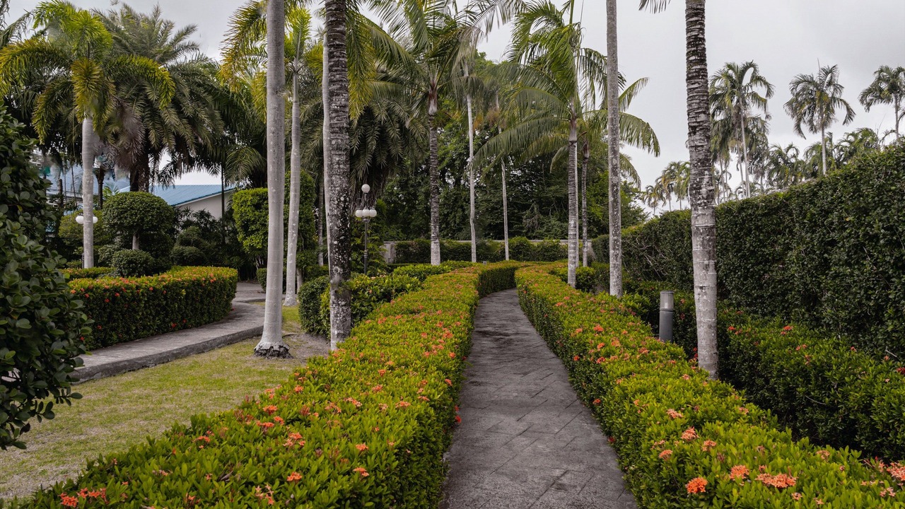 Photo of Outdoor in Chiang Mai