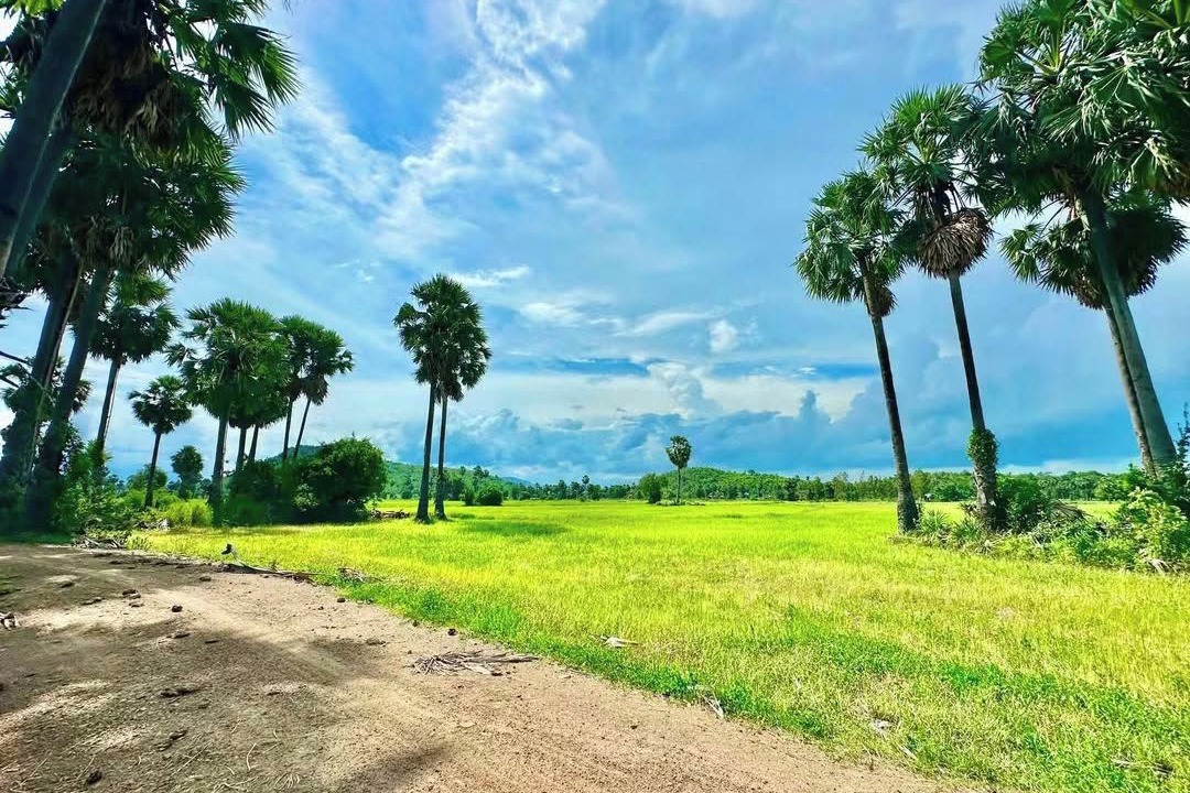 Photo of Others in Prasat Bakong