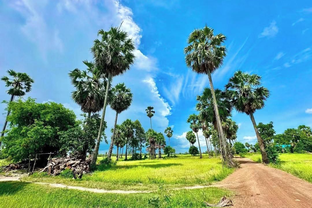 Photo of Others in Prasat Bakong