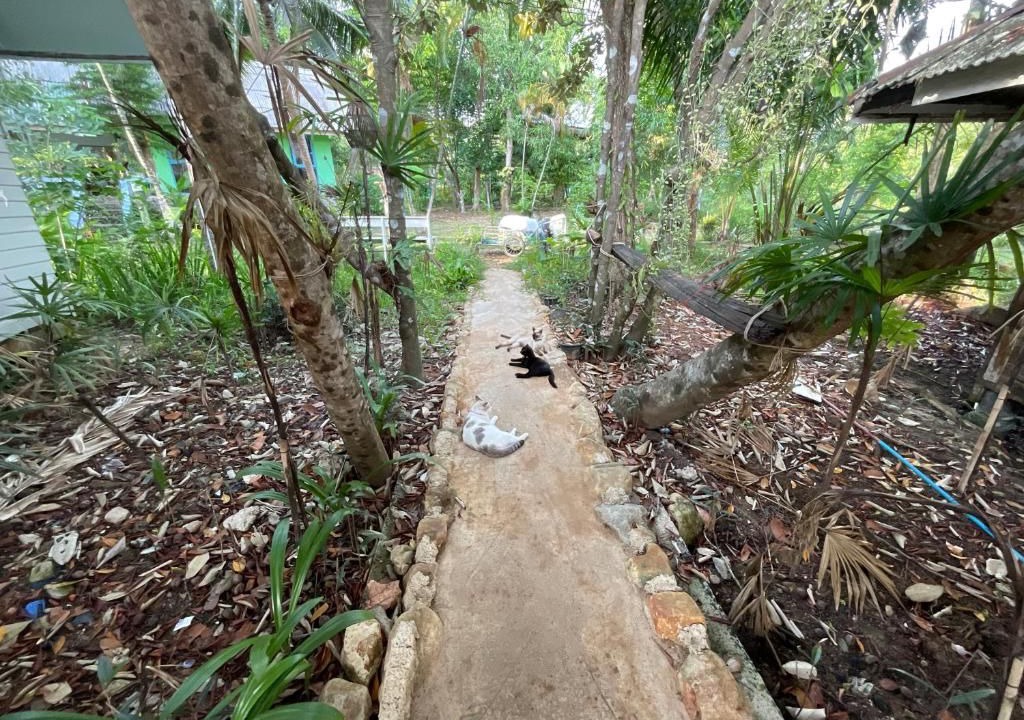 Photo of Others in Koh Chang Tai