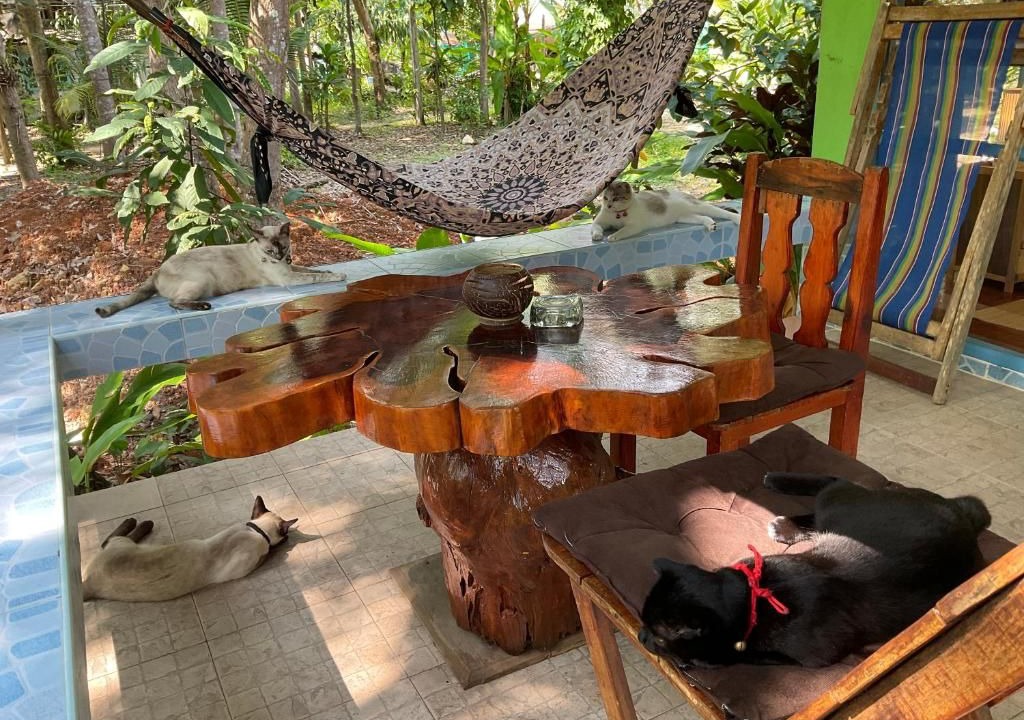 Photo of Outdoor in Koh Chang Tai