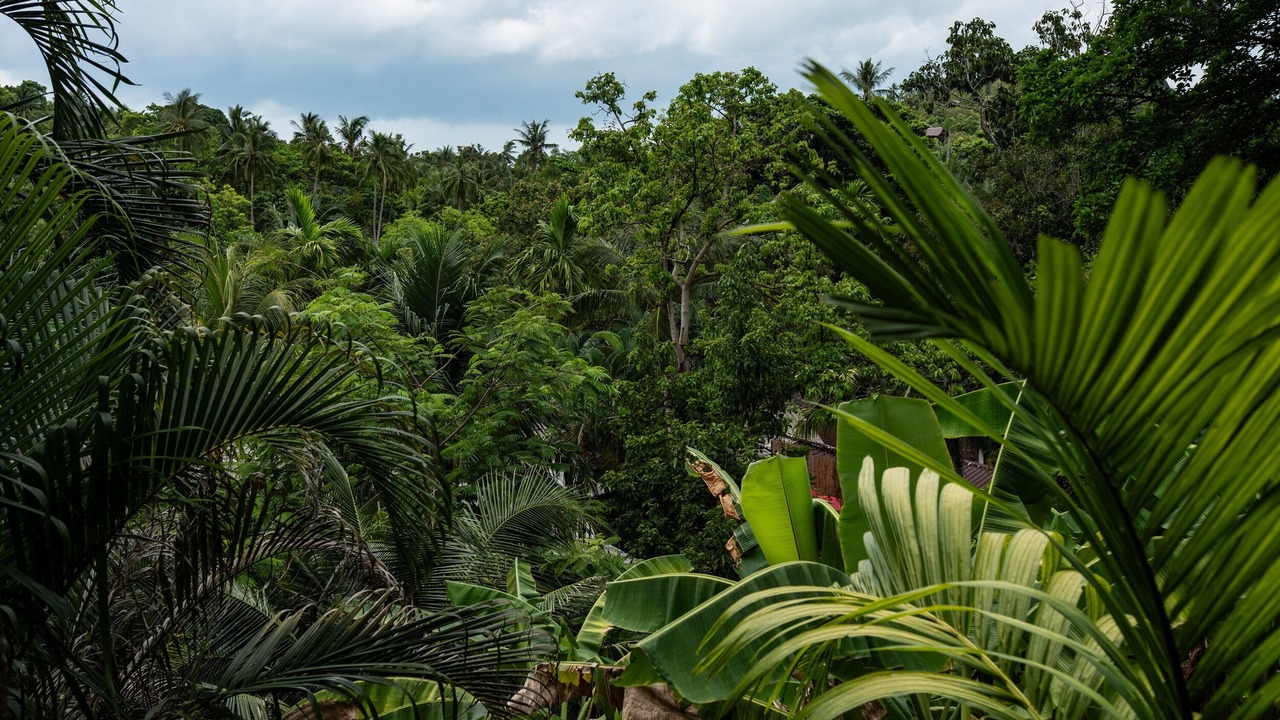 Photo of Others in Baan Tai