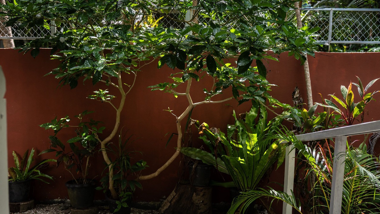 Photo of Outdoor in Baan Tai