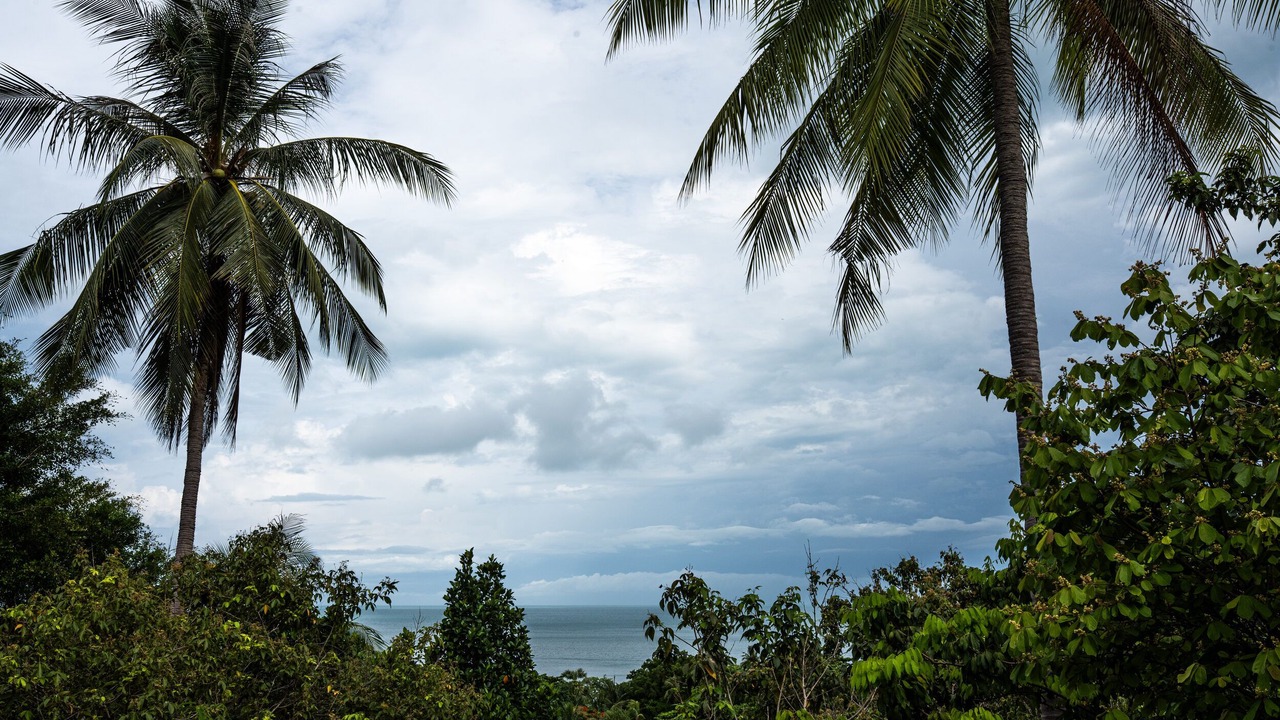 Photo of Others in Baan Tai