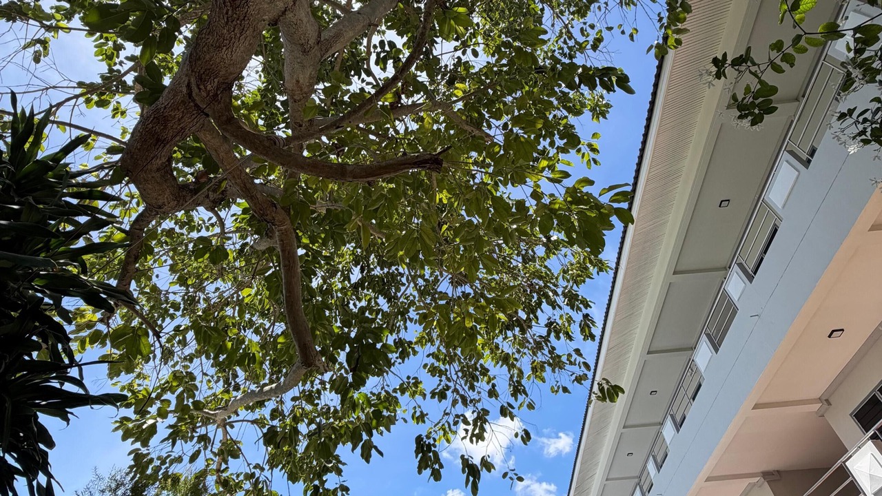 Photo of Outdoor in North Pattaya