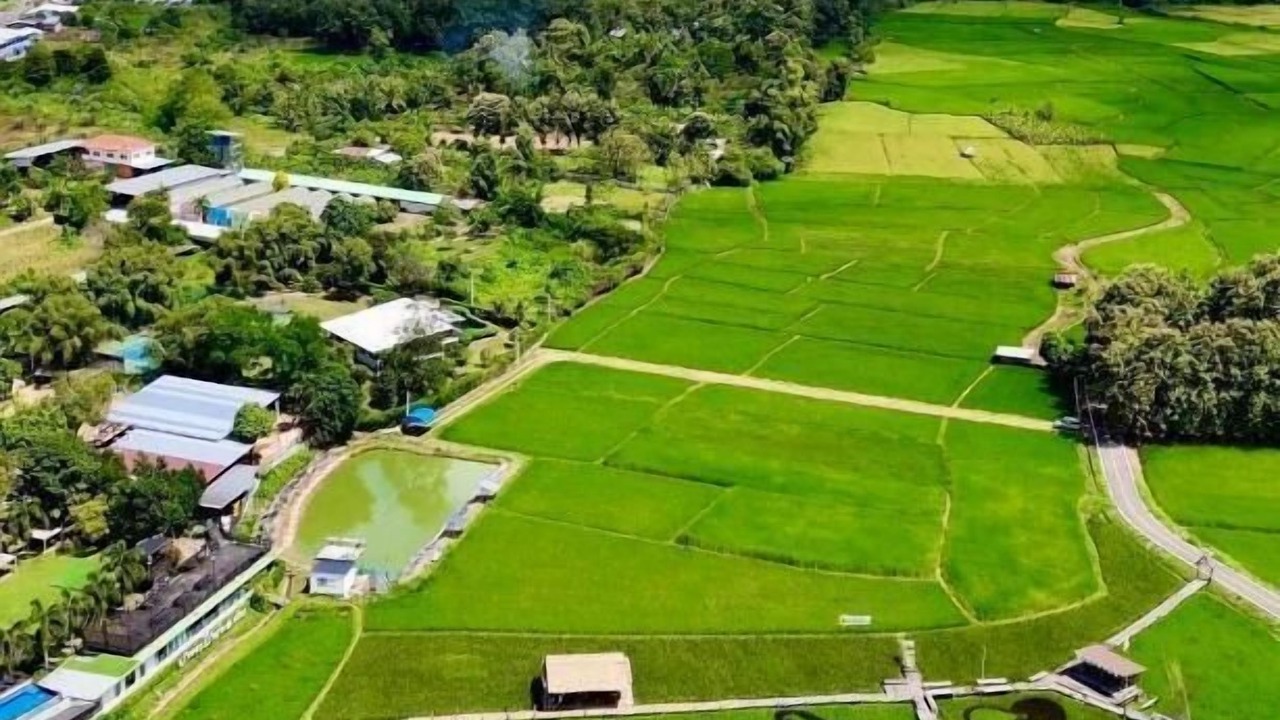 Photo of Outdoor in Chiang Klang