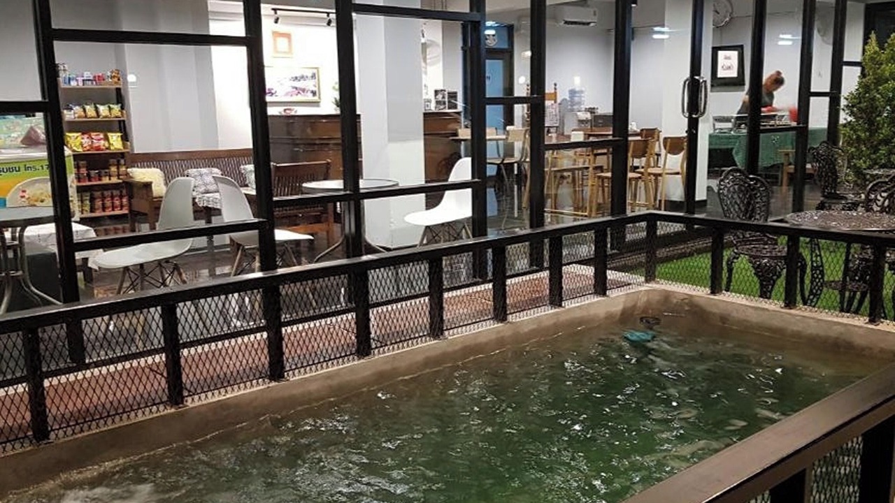 Photo of Outdoor in Phitsanulok