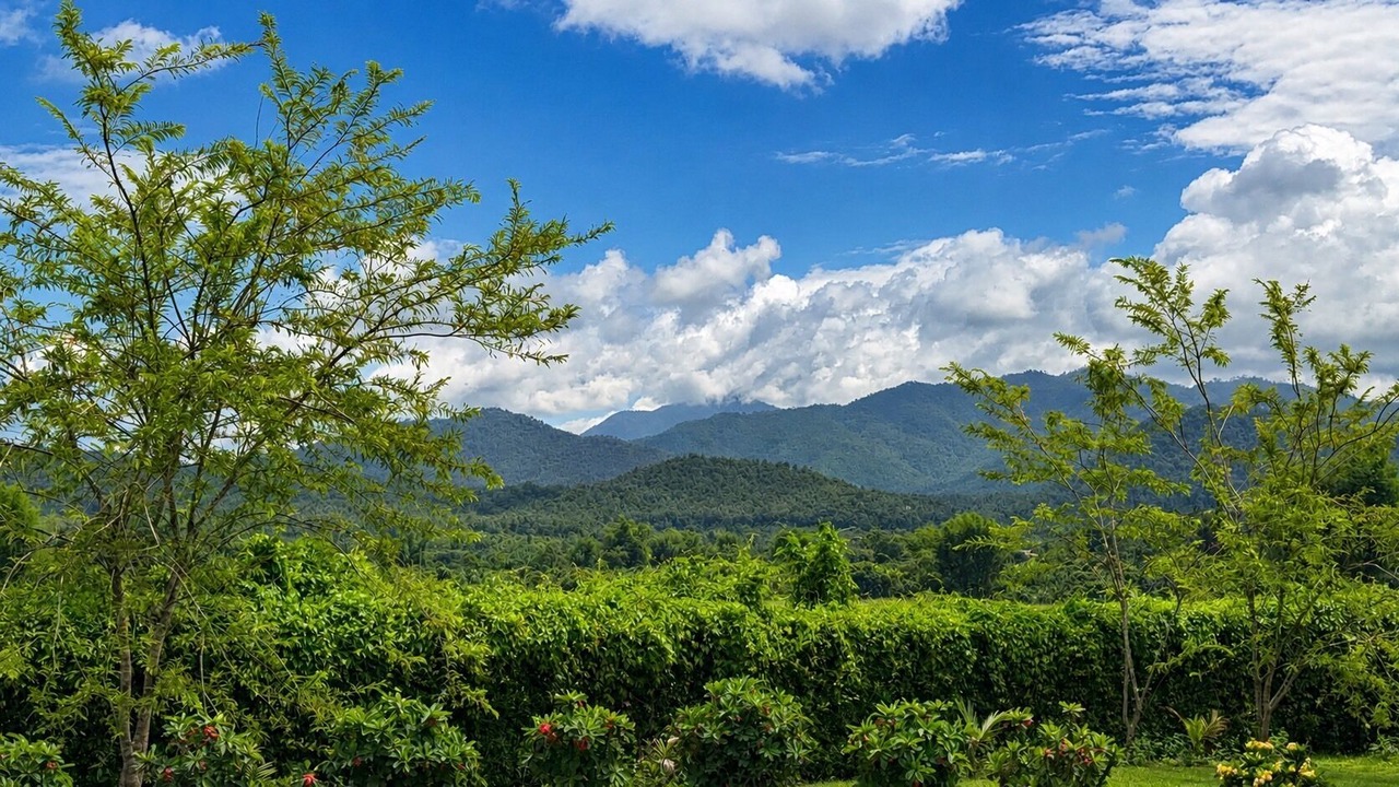 Photo of Outdoor in Mae Taeng