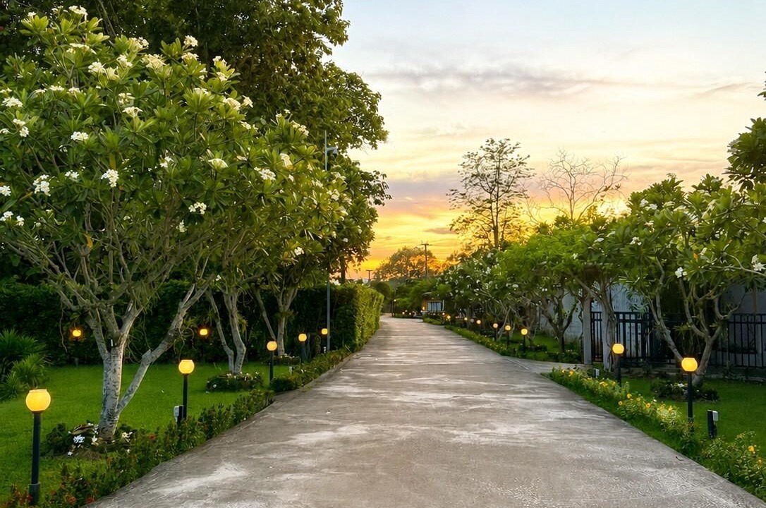 Photo of Outdoor in Mae Taeng