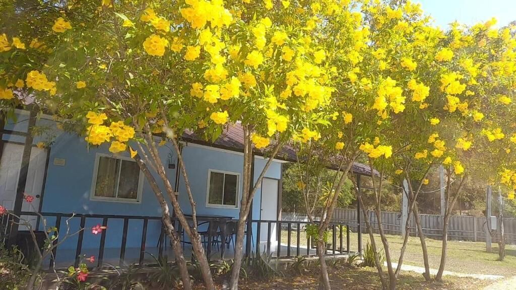 Photo of Outdoor in Tha Kradan