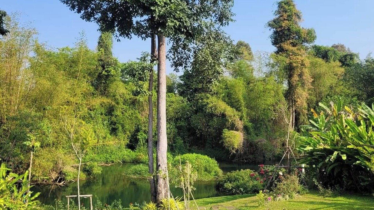 Photo of Outdoor in Khanong Phra