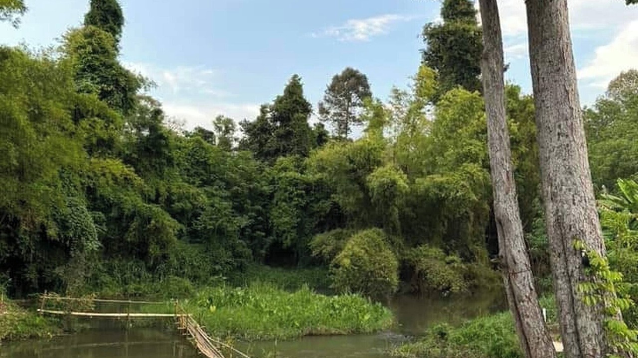 Photo of Outdoor in Khanong Phra