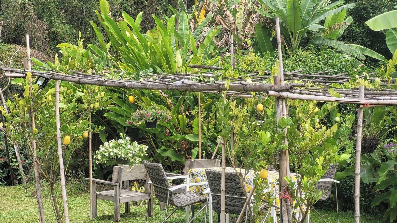Photo of Outdoor in Khanong Phra