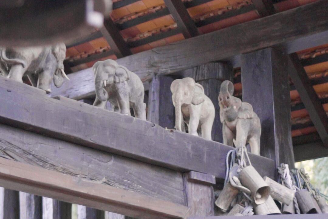 Photo of Outdoor in Mae Rim