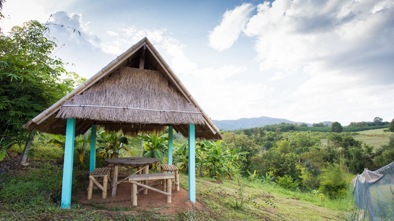 Photo of Outdoor in Wiang Pa Pao