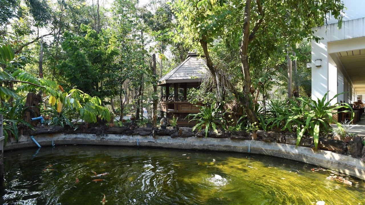 Photo of Outdoor in Tak
