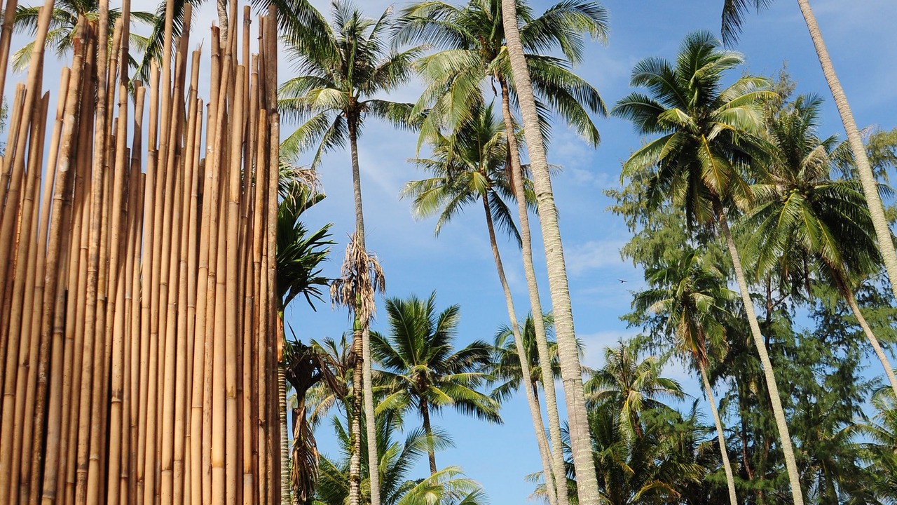 Photo of Outdoor in Ko Kood