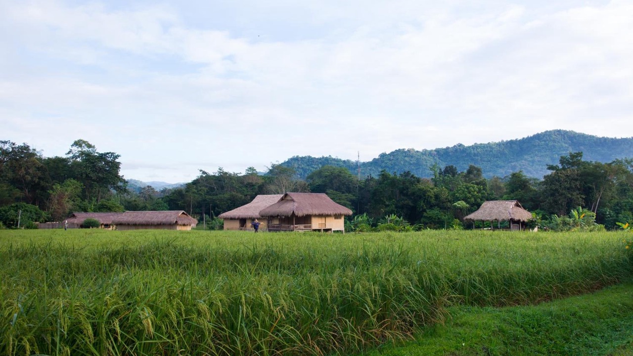 Photo of Outdoor in Mae Taeng