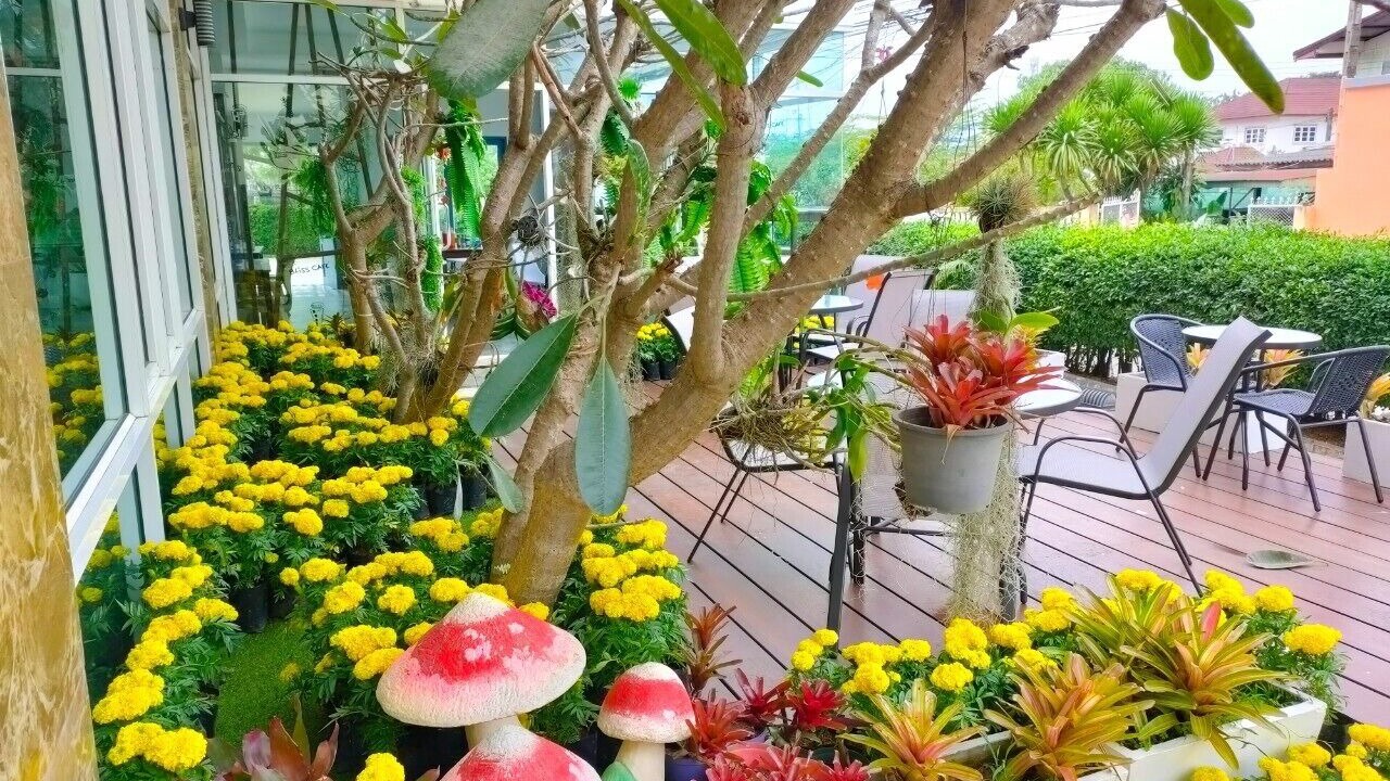 Photo of Patio Balcony in Loei Province
