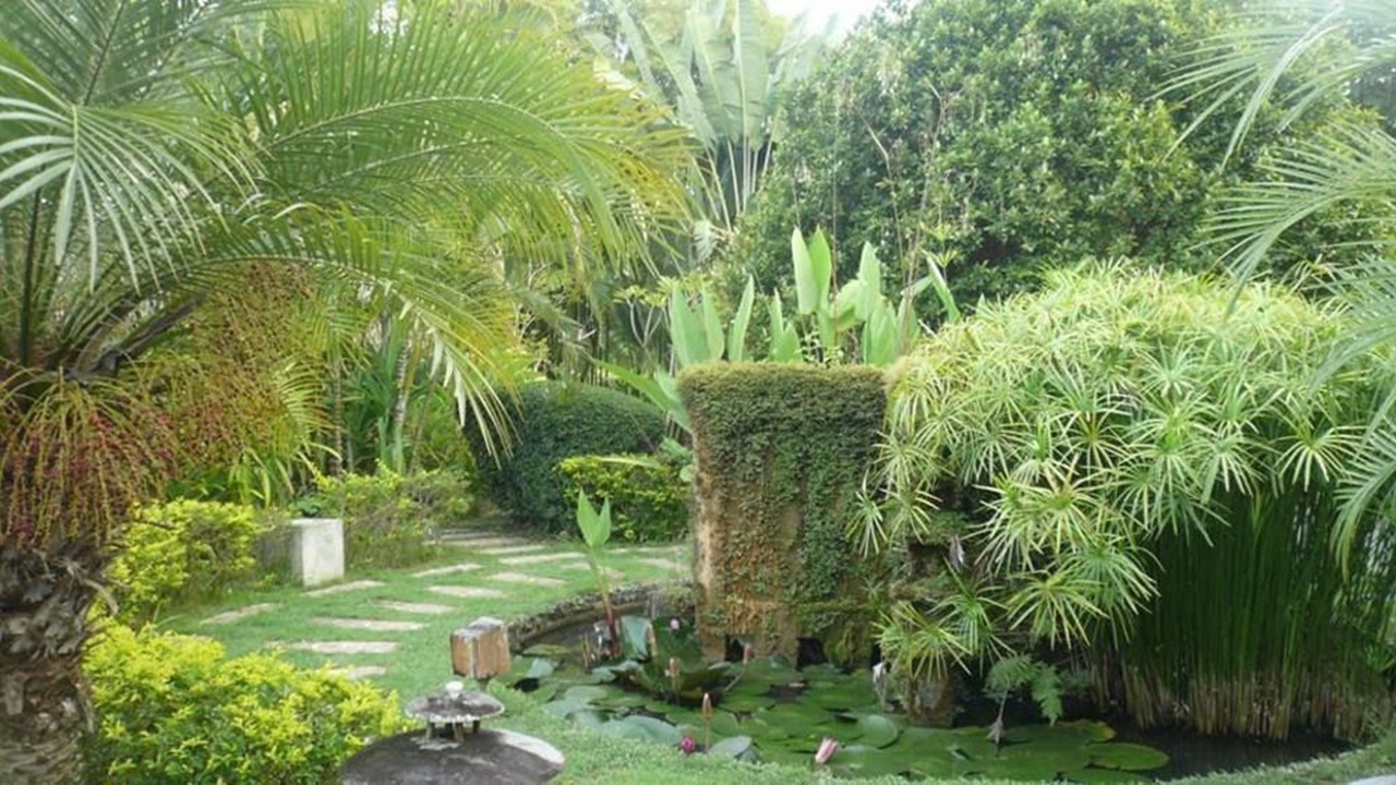 Photo of Outdoor in Chong Kham