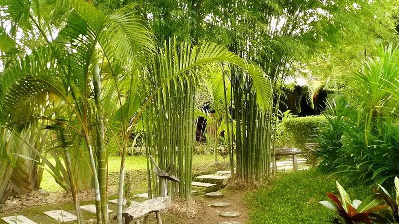 Photo of Outdoor in Chong Kham