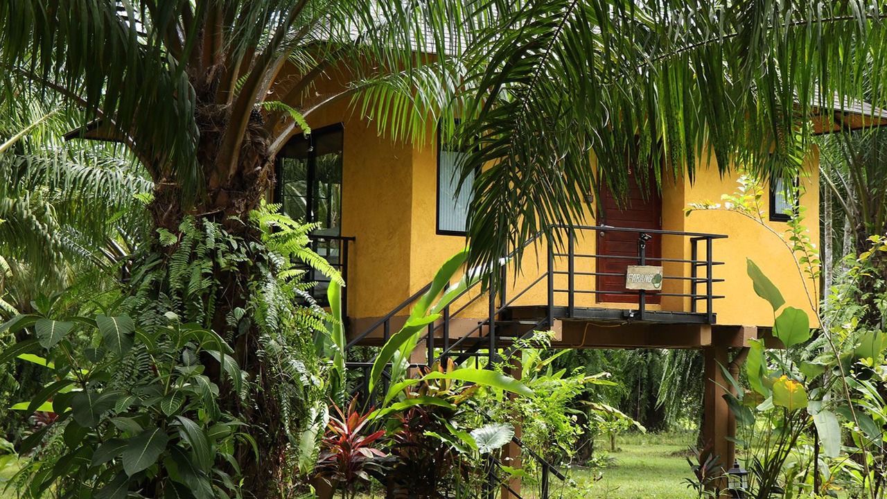Photo of Outdoor in Phanom
