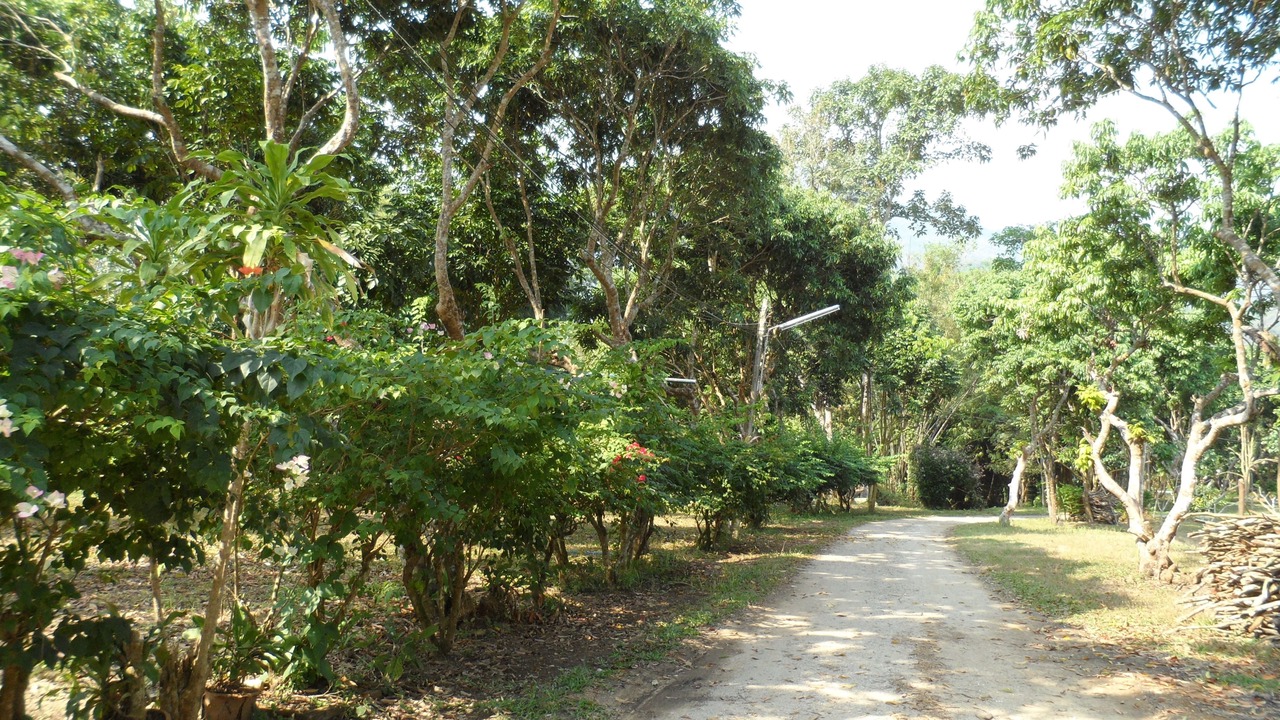 Photo of Outdoor in Mae Sai