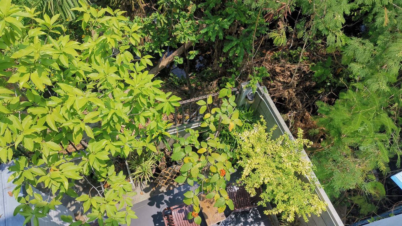 Photo of Outdoor in Sukhumvit