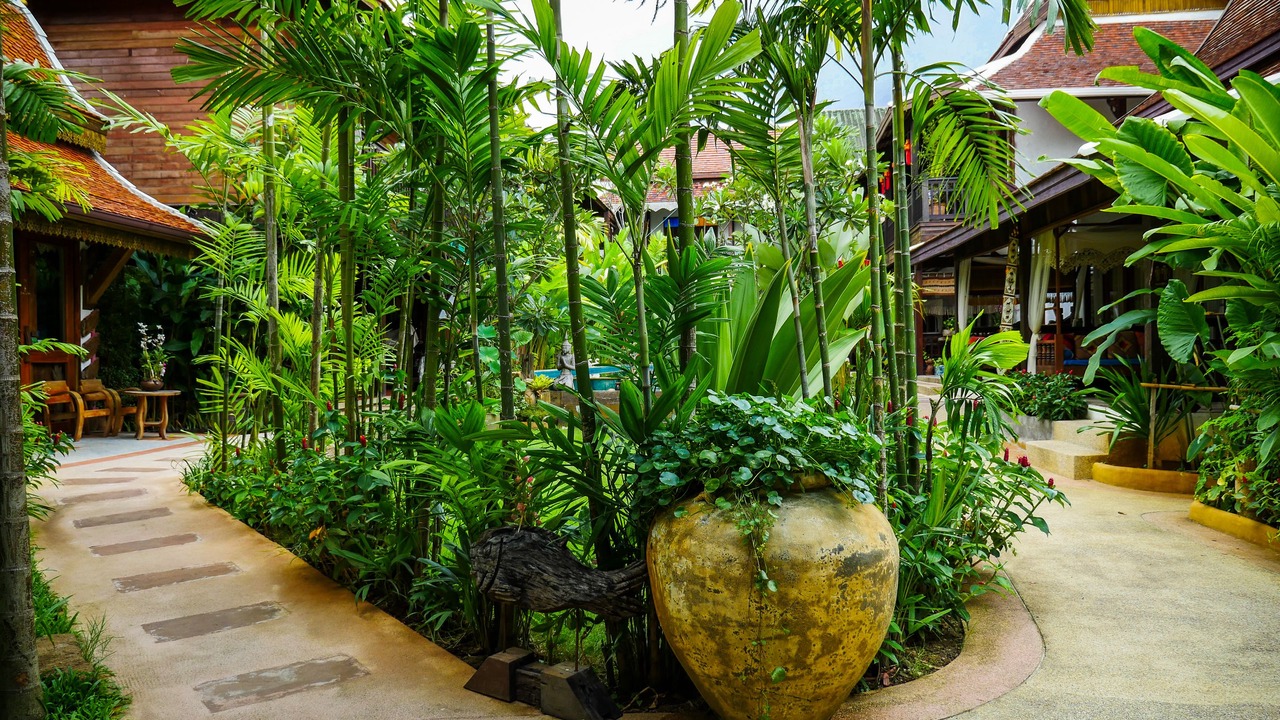 Photo of Outdoor in Chang Khlan