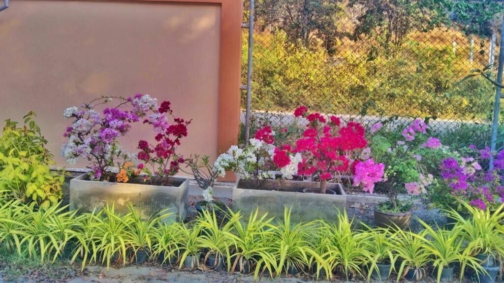 Photo of Outdoor in Nong Kae