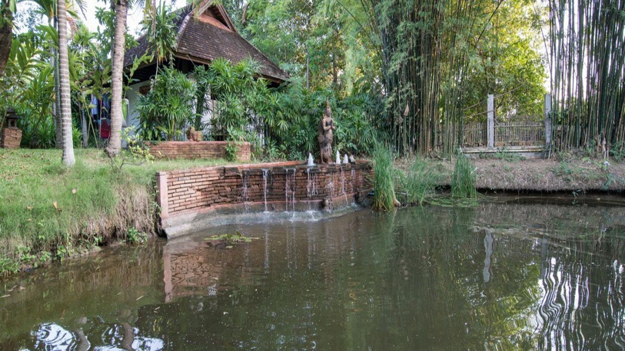 Photo of Outdoor in Taladyai