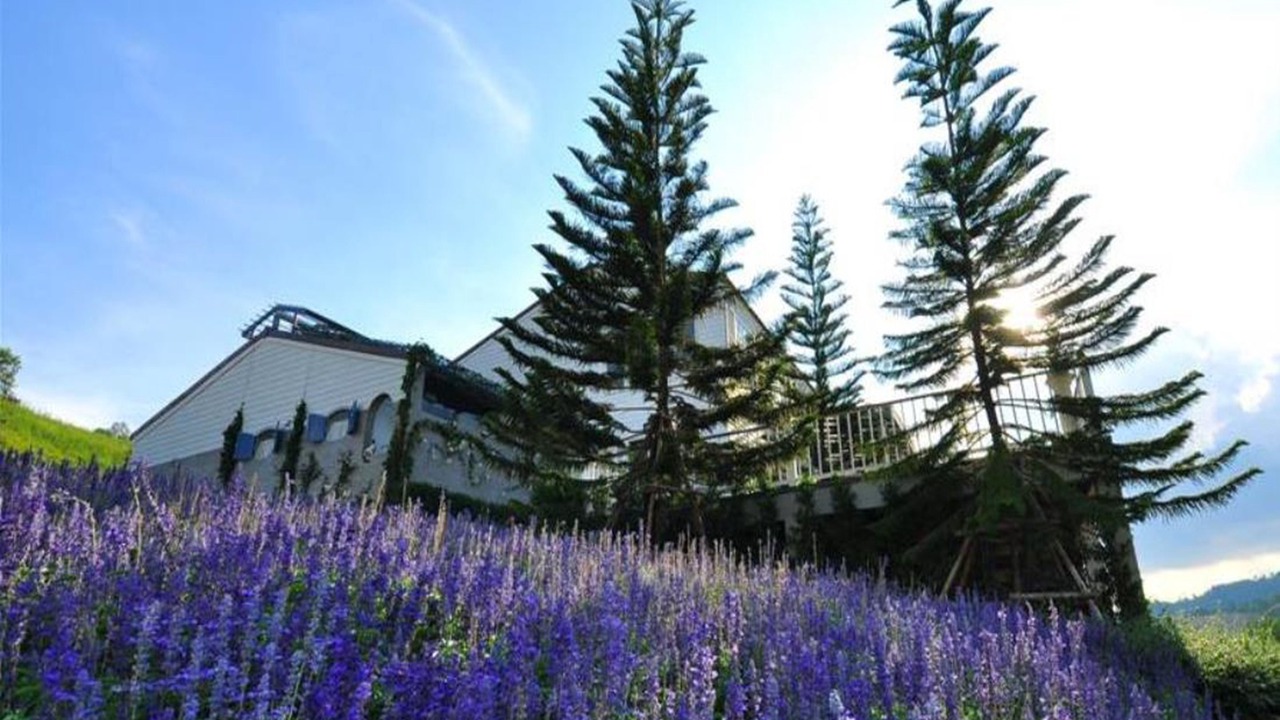 Photo of Outdoor in Khaem Son
