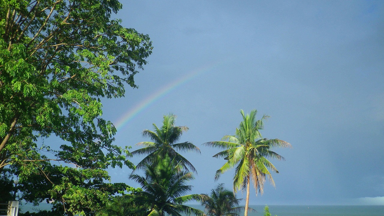 Photo of Others in Phongprasan