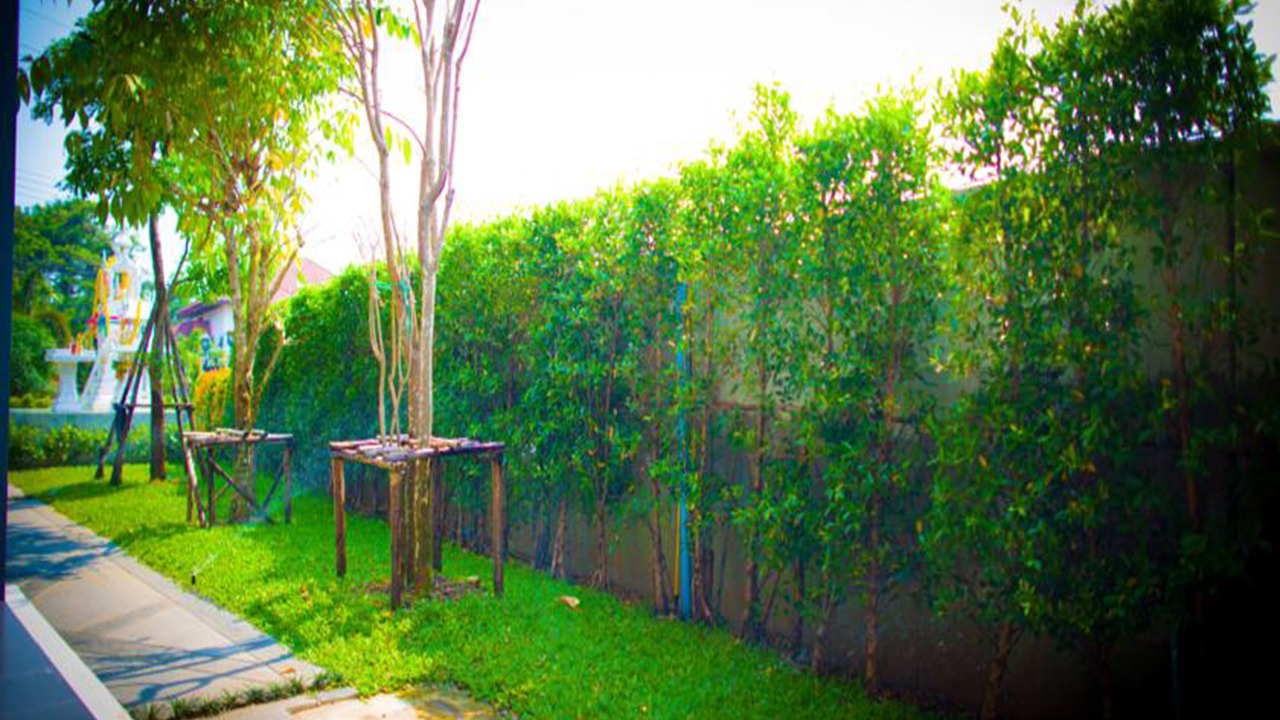 Photo of Outdoor in Phitsanulok