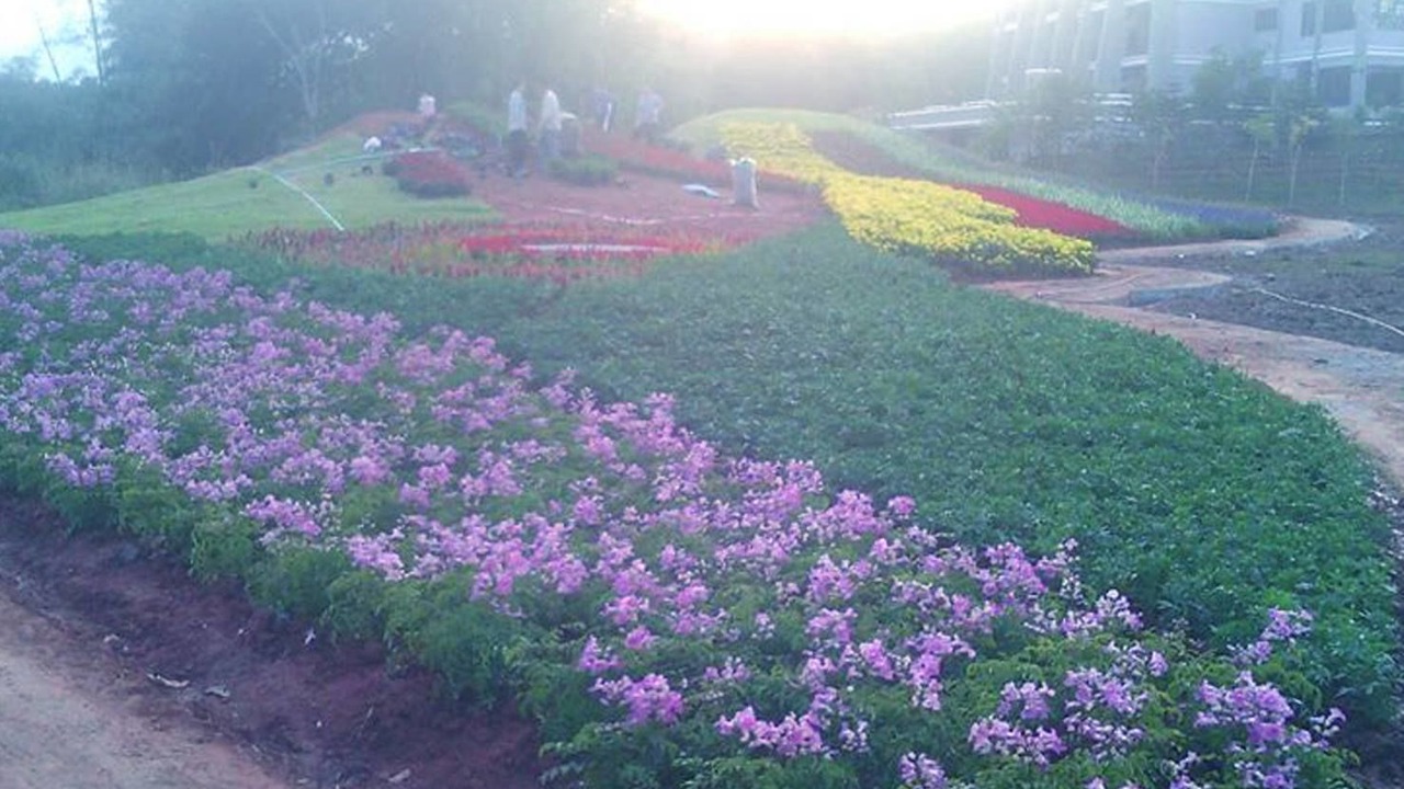 Photo of Outdoor in Phu Ruea