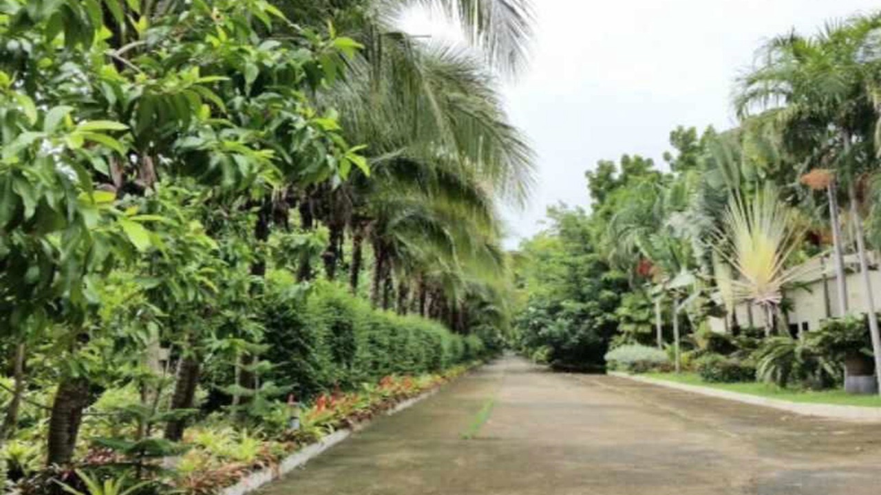 Photo of Outdoor in Ubon Ratchathani