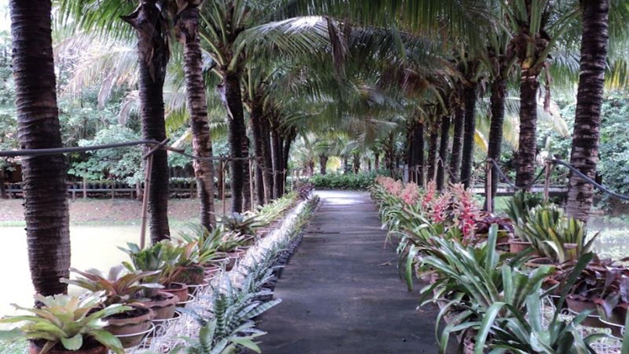 Photo of Outdoor in Ubon Ratchathani