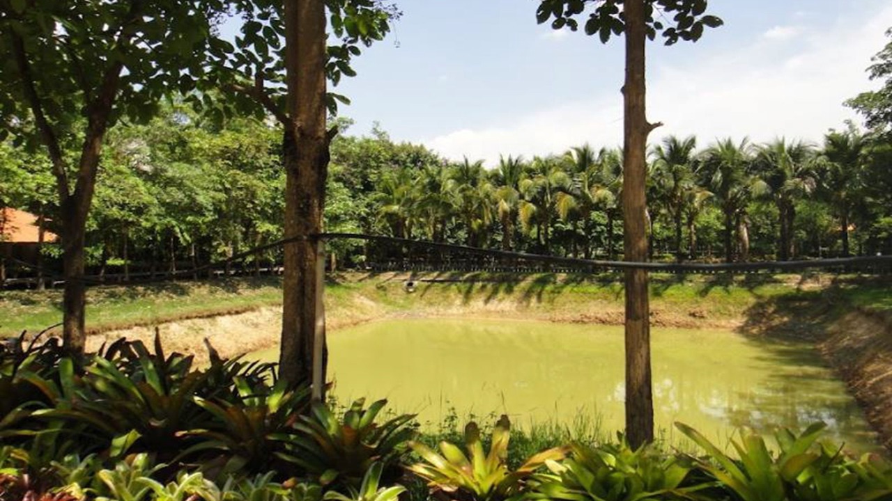 Photo of Outdoor in Ubon Ratchathani