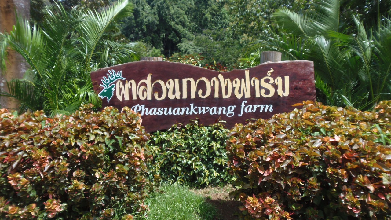 Photo of Outdoor in Ban Ta Khun
