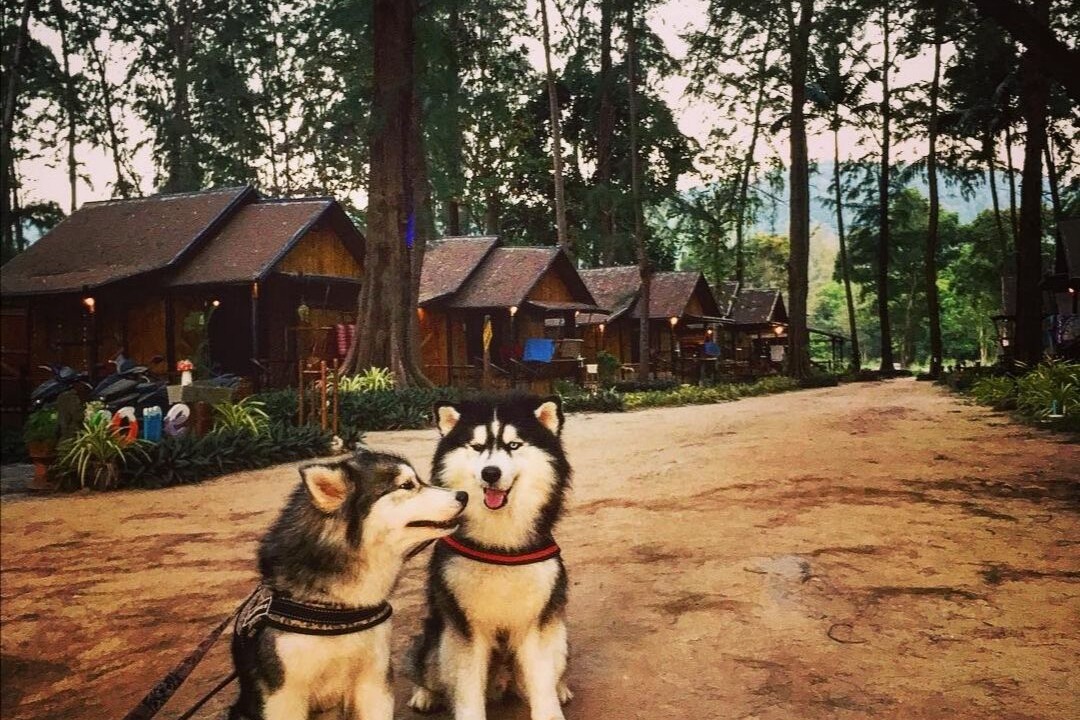 Photo of Outdoor in Ko Lanta