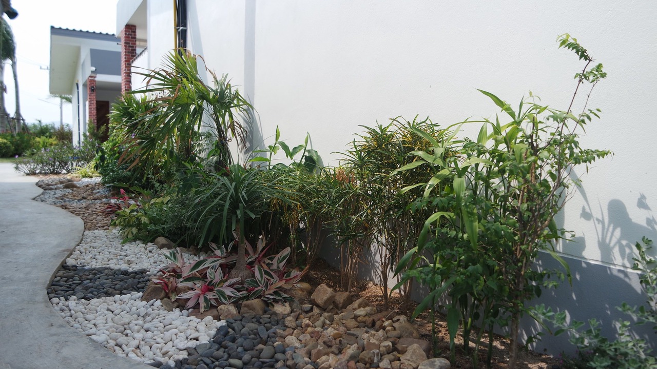Photo of Outdoor in Kao Yai