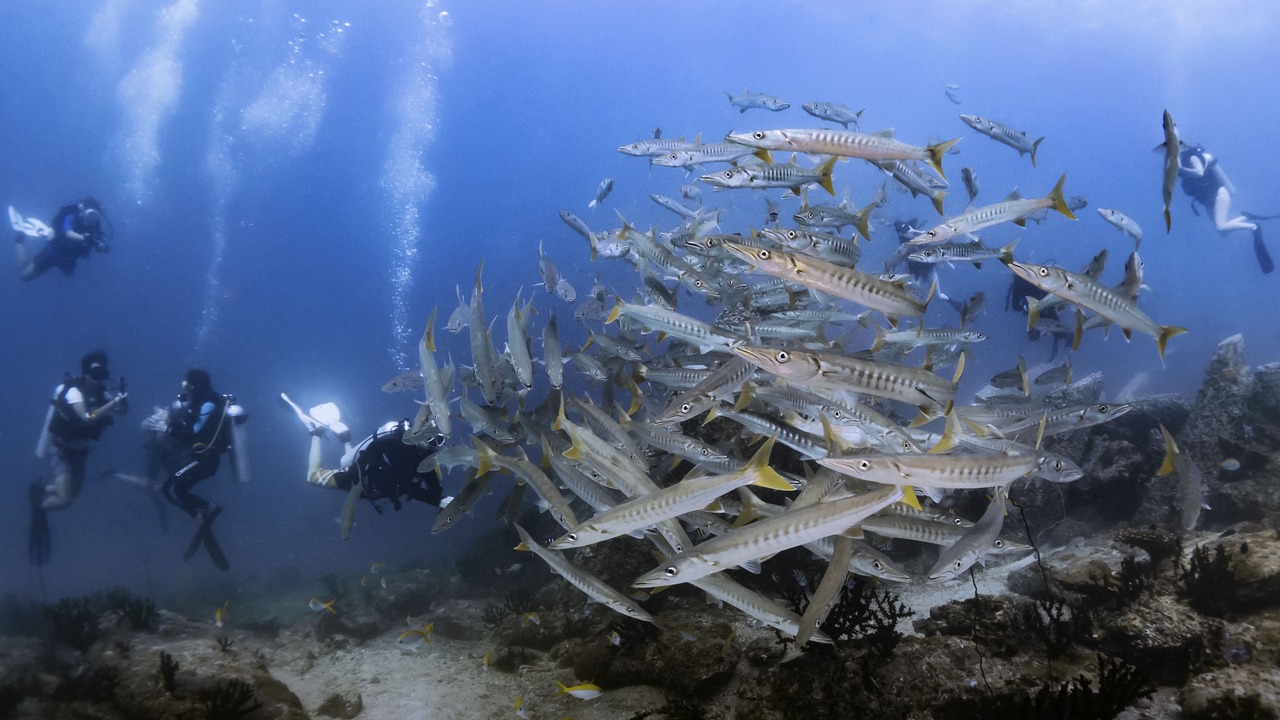 Photo of Others in Satun