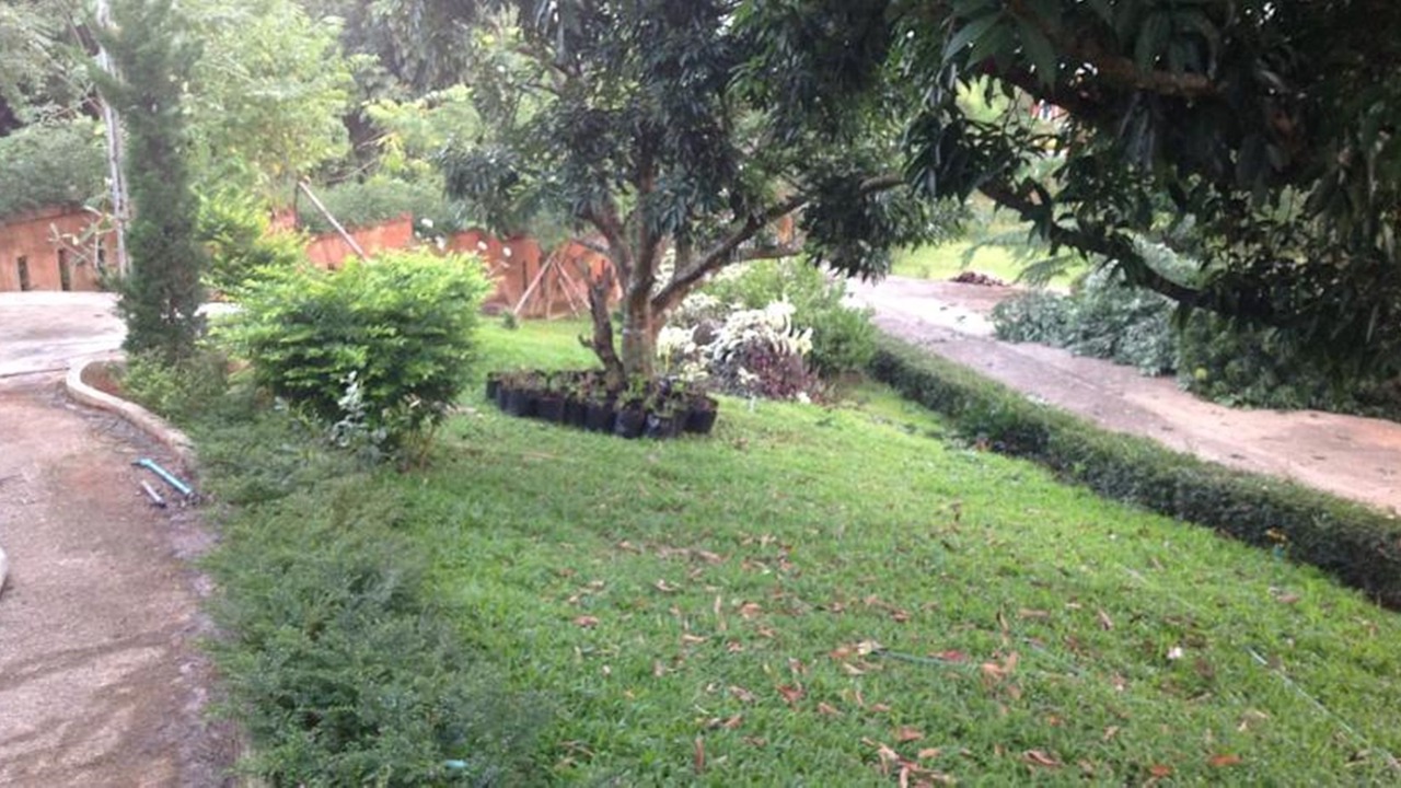 Photo of Outdoor in Ban Du