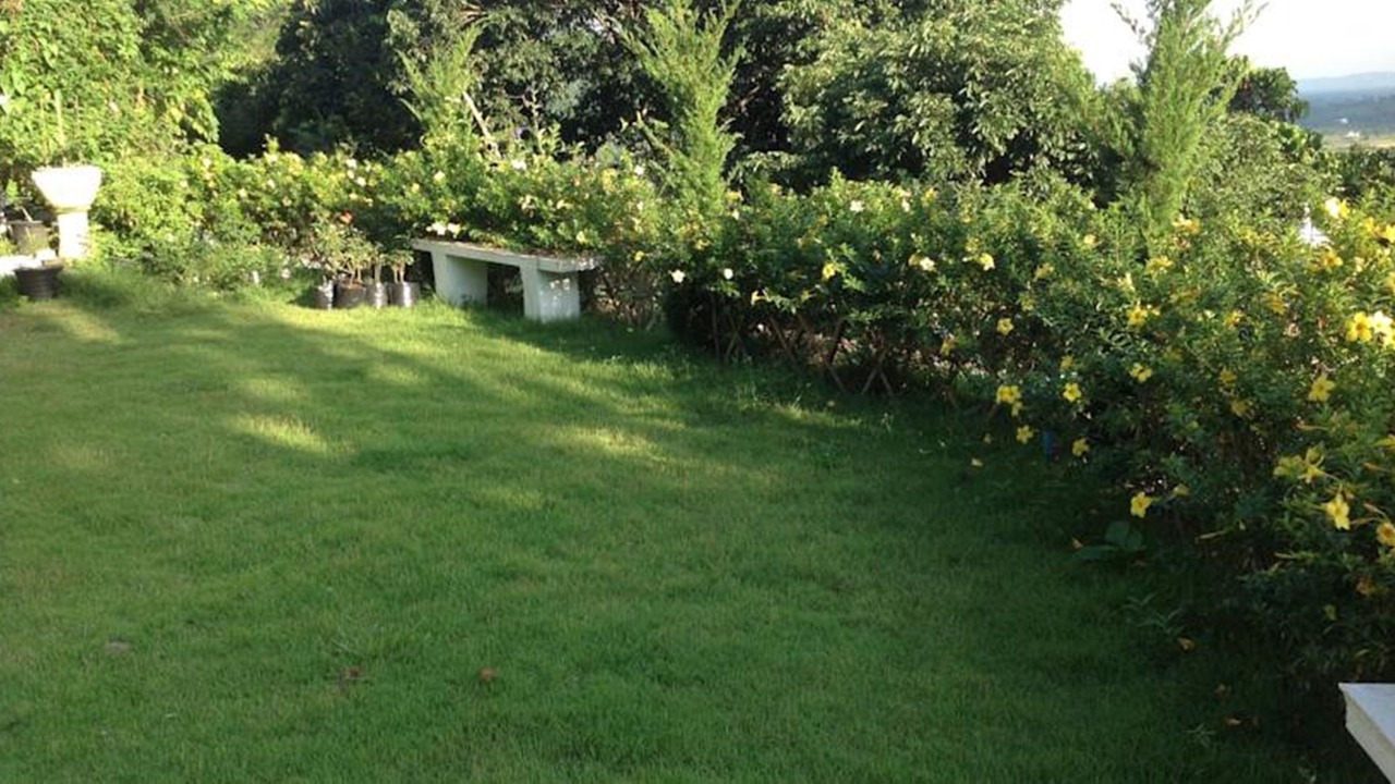 Photo of Outdoor in Ban Du