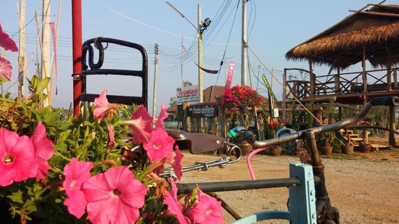 Photo of Outdoor in Chiang Rai