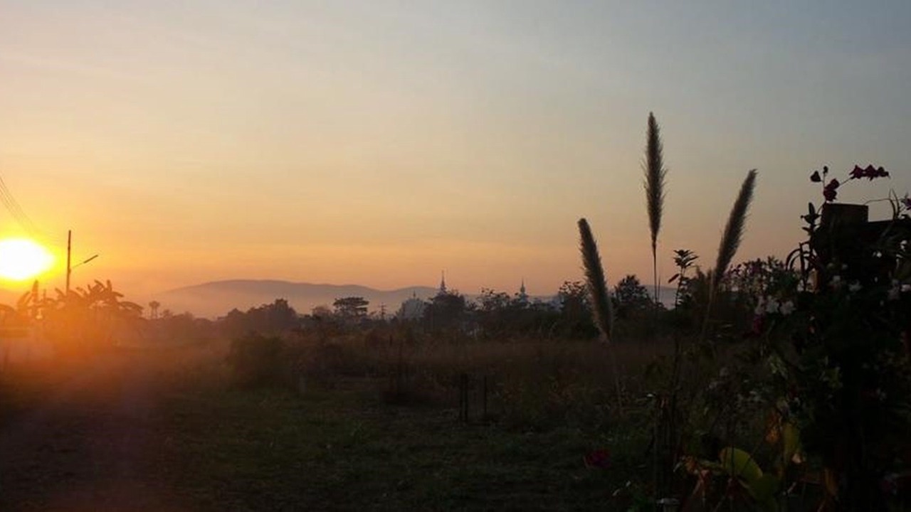 Photo of Others in Chiang Rai