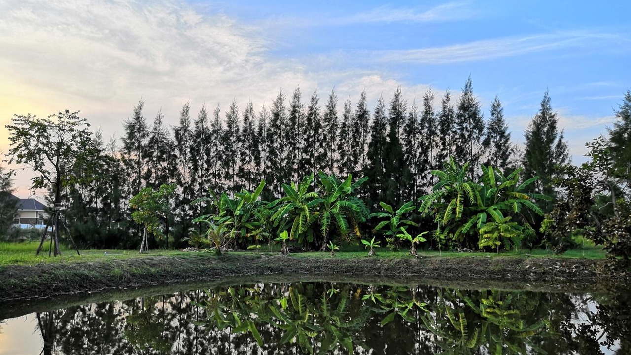 Photo of Outdoor in Tha Yang