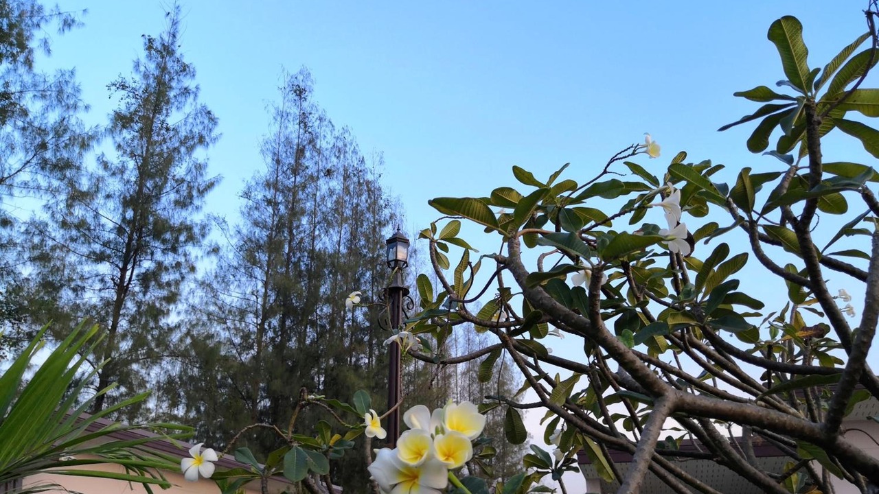 Photo of Outdoor in Tha Yang