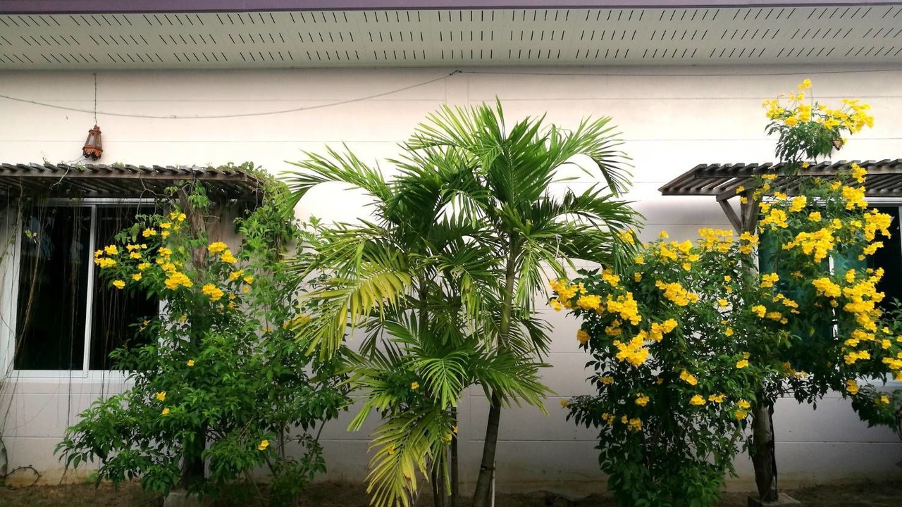 Photo of Outdoor in Tha Yang